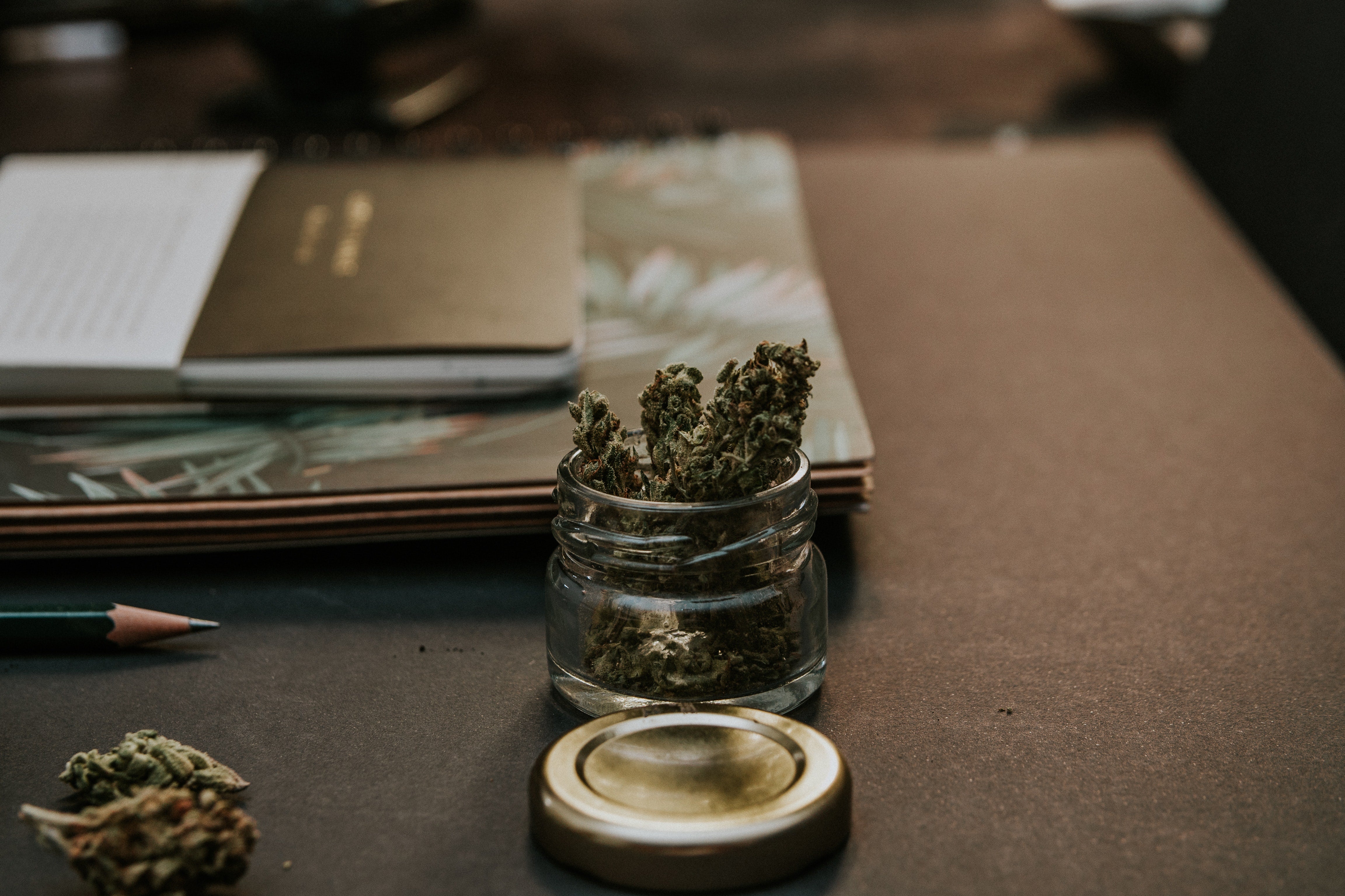 The Future of Cannabis: Global Legalization & the Rise of Alternative Regulations
