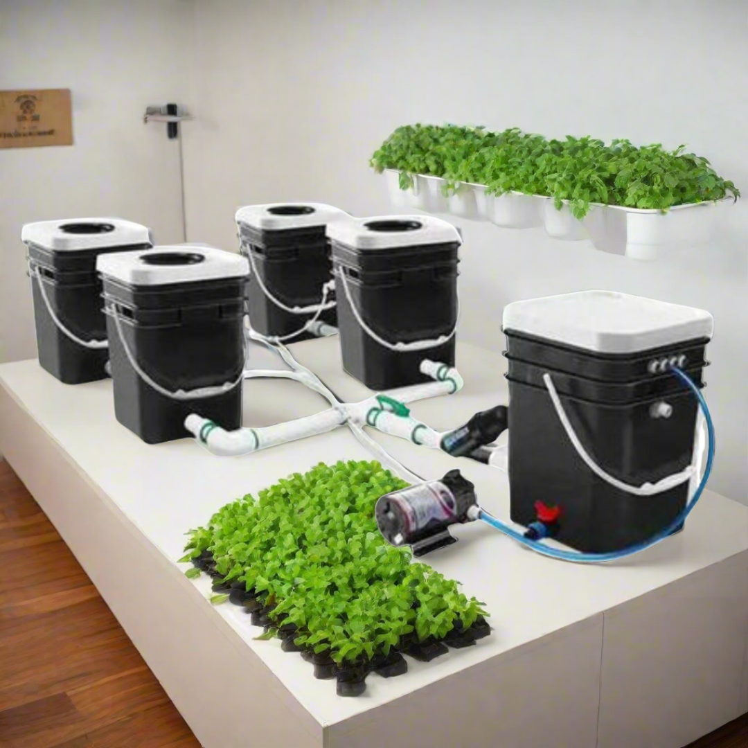 AEROPONIC rDWC Systems 4 Full Site