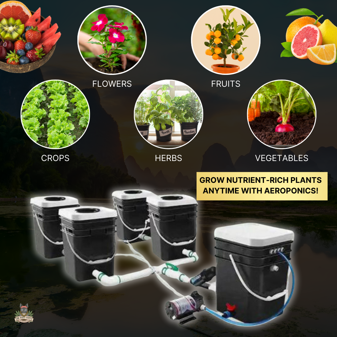 AEROPONIC rDWC Systems Uses