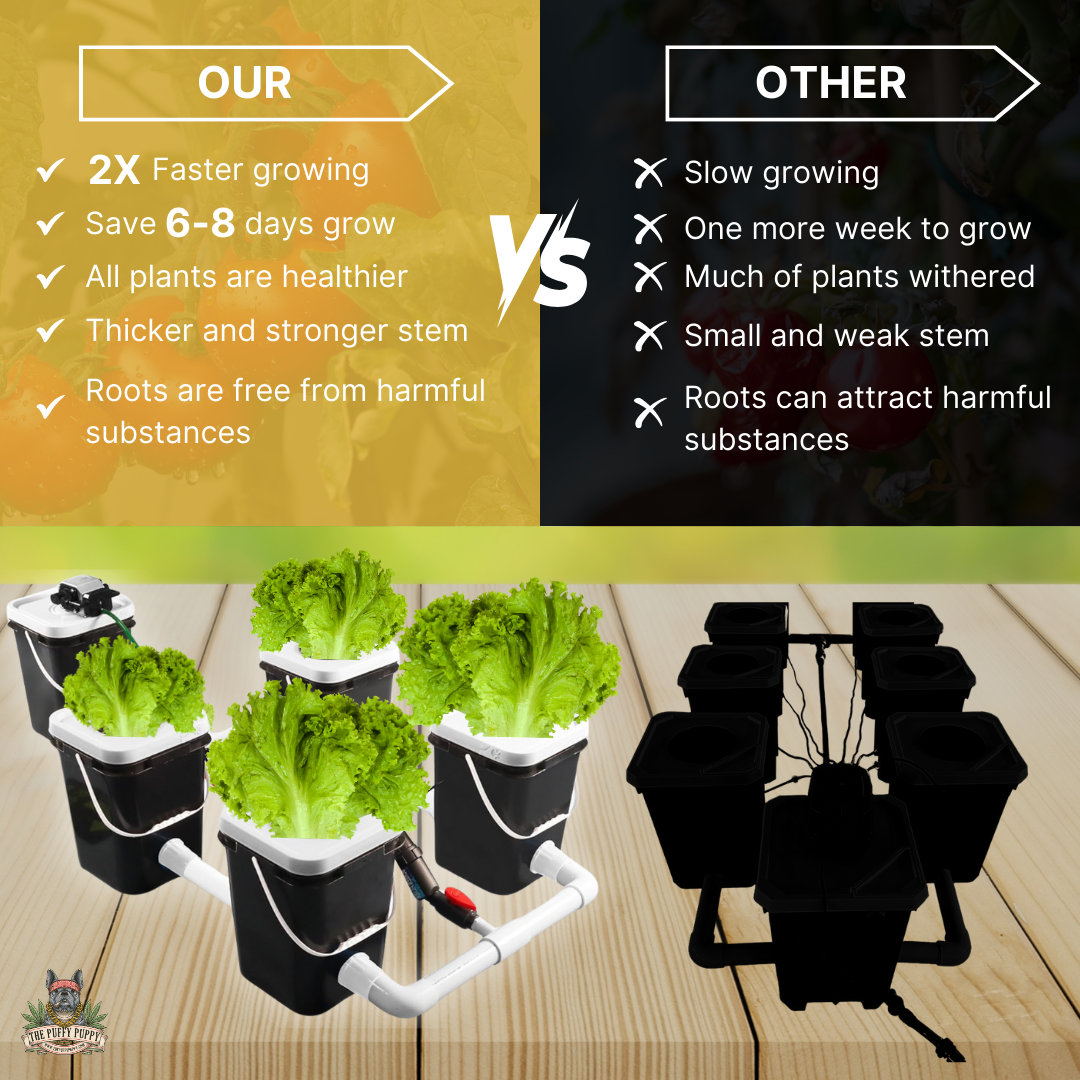 Deep water culture rDWC full 4 site hydroponic system comparison