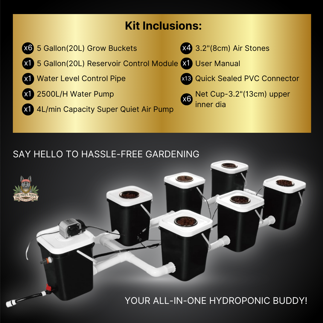 Deep water culture rDWC full 6 site hydroponic system inclusions